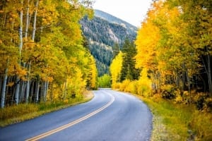 Photo of a Winding Highway in the Black Hills Amid Fall's Peak—It's Adventure Travel at Its Best!