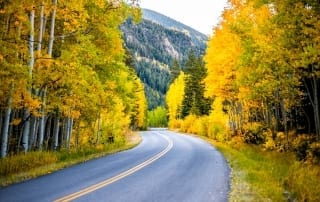 Photo of a Winding Highway in the Black Hills Amid Fall's Peak—It's Adventure Travel at Its Best!